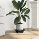 Vidaxl plantentrolley met wielen 170 kg diameter 30 cm zwart