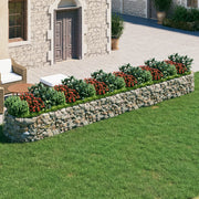 VidaXL Gabion plantenbak verhoogd 600x100x50 cm gegalvaniseerd ijzer - afbeelding 1
