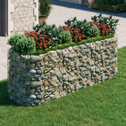 VidaXL Gabion plantenbak verhoogd 300x100x100 cm gegalvaniseerd ijzer - afbeelding 1