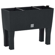 Vidaxl plantenbak verhoogd 60x25x46 cm pp rattan antracietkleurig - afbeelding 2