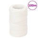 Vidaxl boottouw 2 mm 100 m polypropyleen volwit