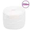 Vidaxl boottouw 8 mm 250 m polypropyleen volwit