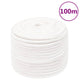 Vidaxl boottouw 12 mm 100 m polypropyleen volwit