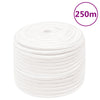 Vidaxl boottouw 14 mm 250 m polypropyleen volwit