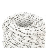Vidaxl boottouw gevlochten 2 mmx100 m polyester wit