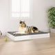 Vidaxl hondenmand 91,5x64x9 cm massief grenenhout wit