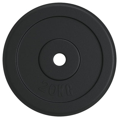 Vidaxl halterschijf 20 kg gietijzer