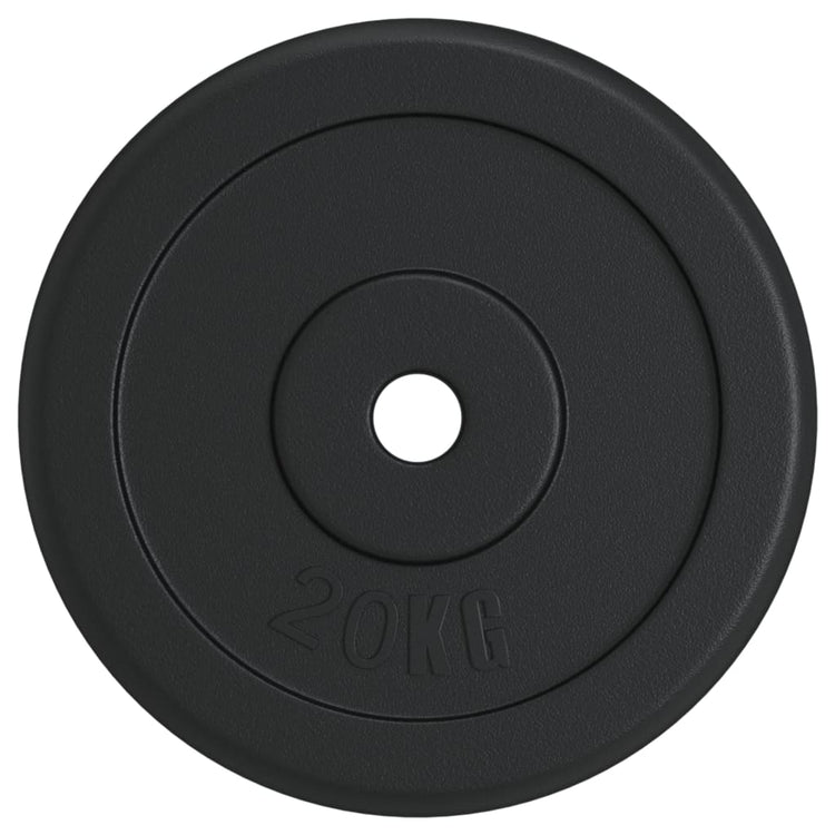 Vidaxl halterschijf 20 kg gietijzer