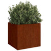 Vidaxl plantenbakken 2 st 42x40x39 cm cortenstaal