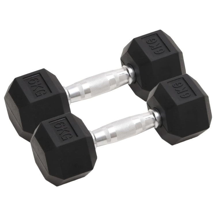 Vidaxl halters 2 st 6 kg totaal gietijzer