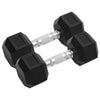 Vidaxl halters 2 st 16 kg totaal gietijzer
