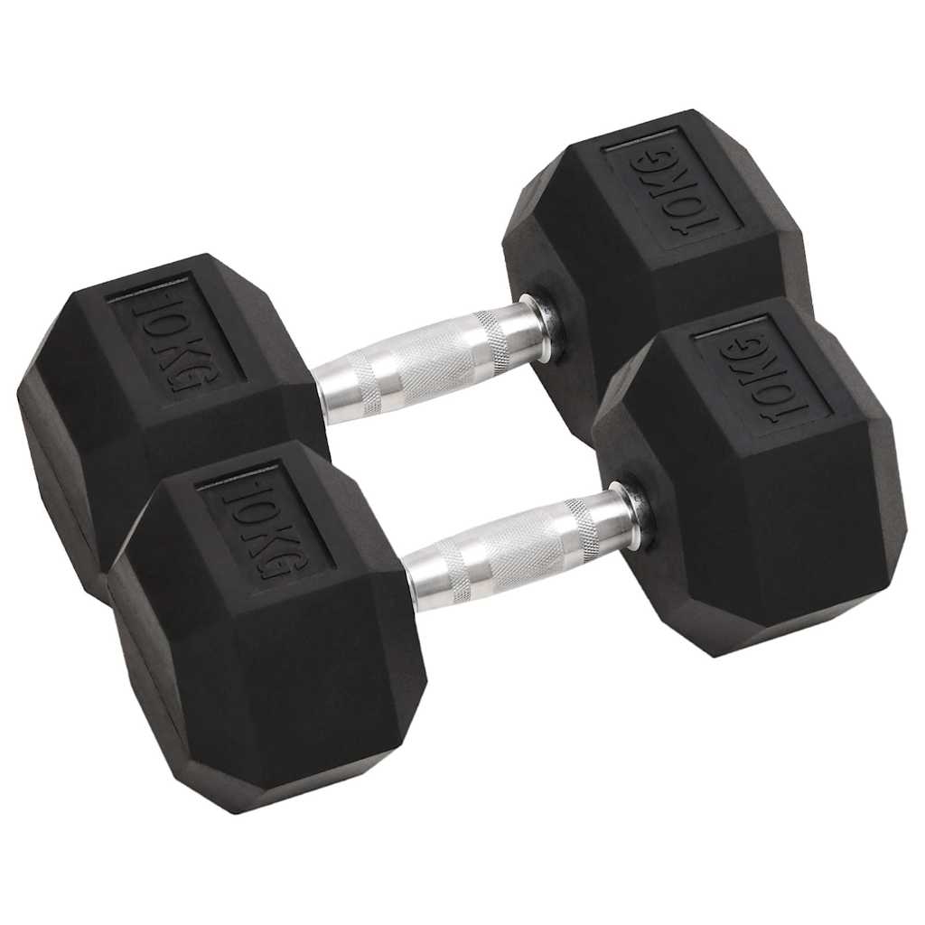 Vidaxl halters 2 st 10 kg totaal gietijzer