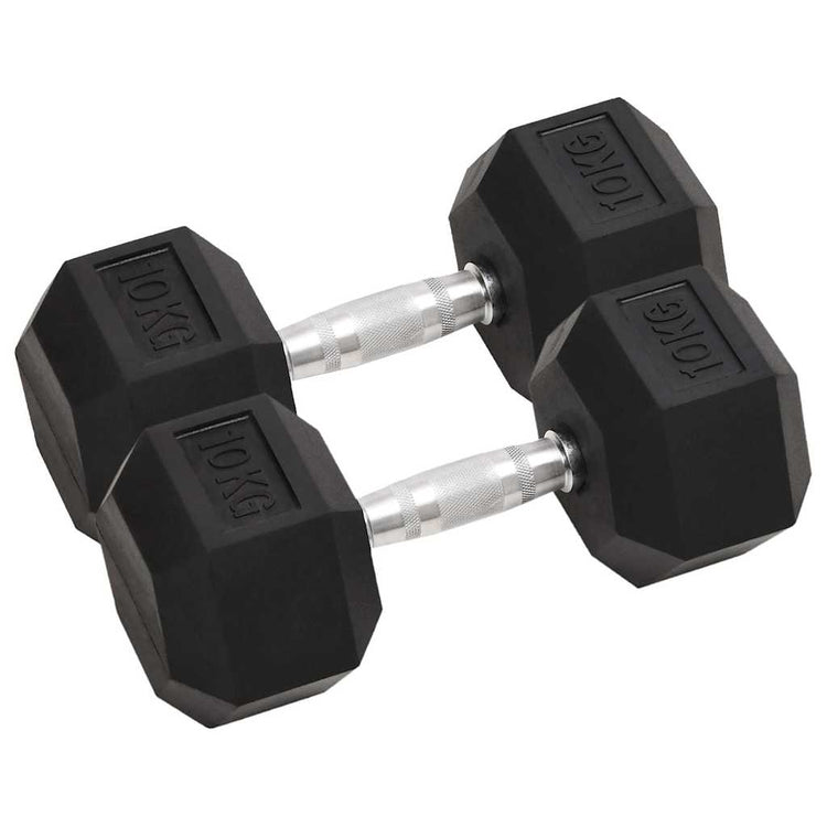 Vidaxl halters 2 st 10 kg totaal gietijzer