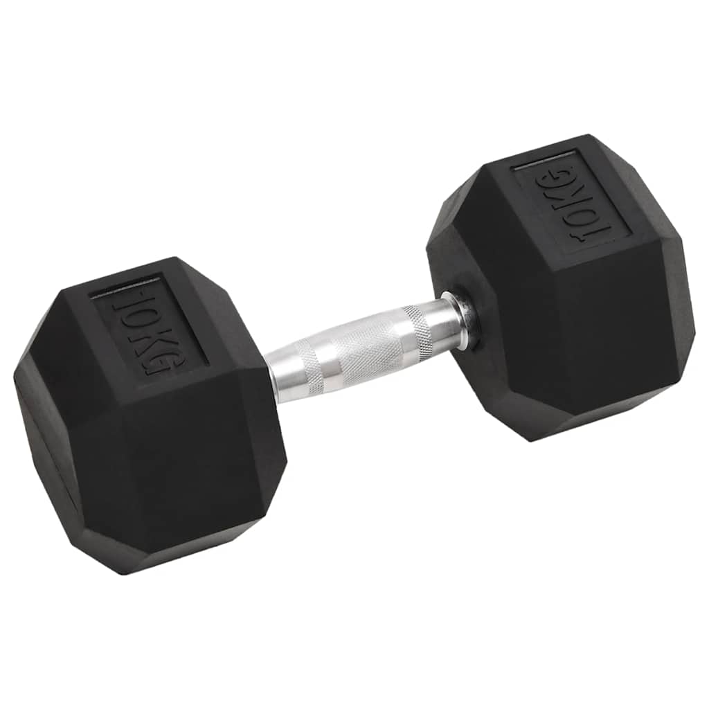Vidaxl halters 2 st 10 kg totaal gietijzer