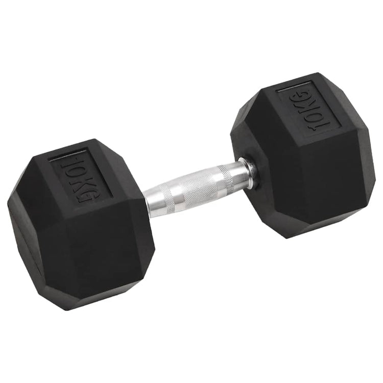 Vidaxl halters 2 st 10 kg totaal gietijzer
