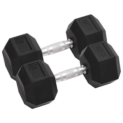 Vidaxl halters 2 st 25 kg totaal gietijzer