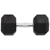 Vidaxl halters 17,5 kg gietijzer