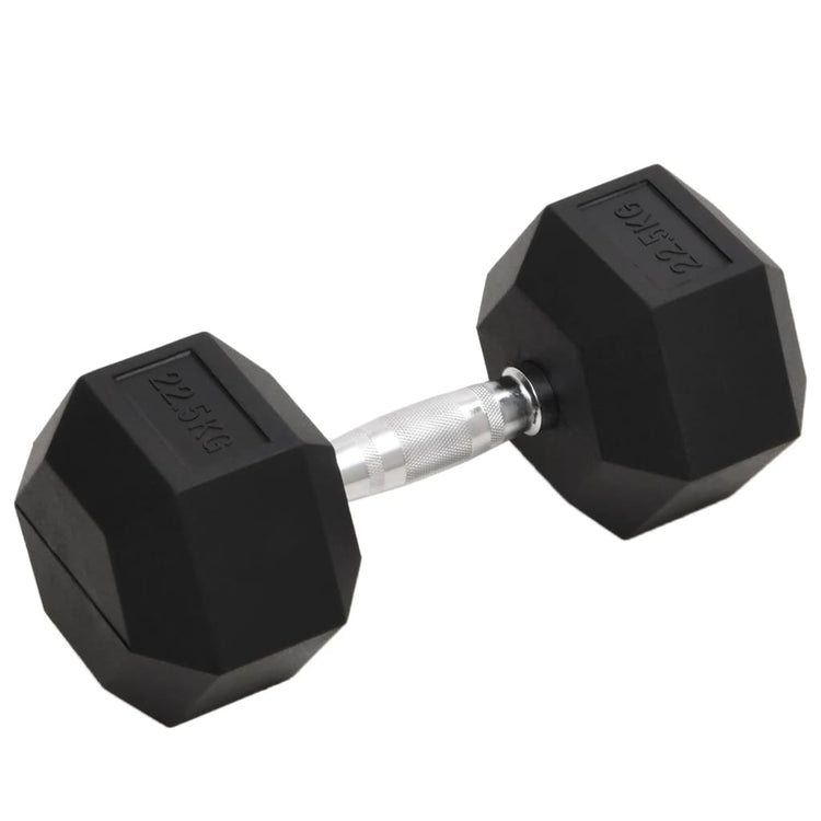 Vidaxl halters 22,5 kg gietijzer