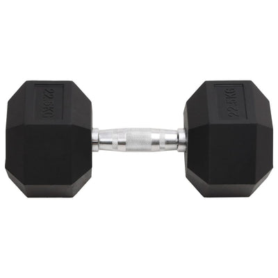 Vidaxl halters 22,5 kg gietijzer