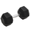 Vidaxl halters 25 kg gietijzer