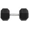 Vidaxl halters 25 kg gietijzer