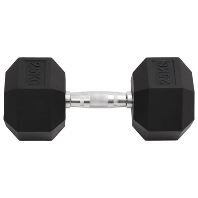 Vidaxl halters 25 kg gietijzer