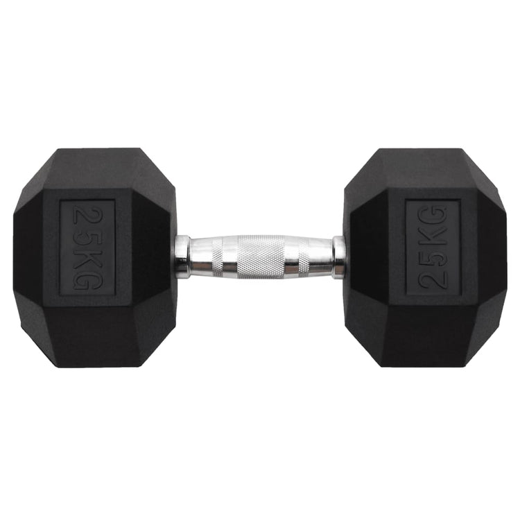 Vidaxl halters 25 kg gietijzer