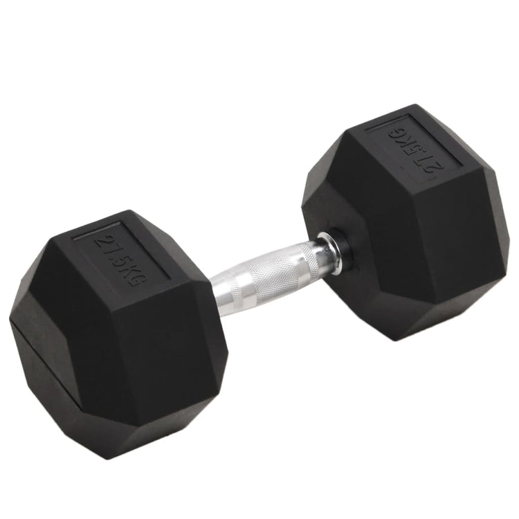 Vidaxl halters 27,5 kg gietijzer
