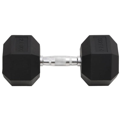 Vidaxl halters 27,5 kg gietijzer