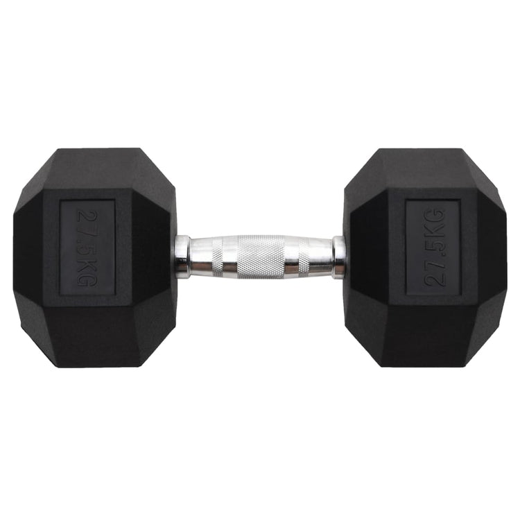 Vidaxl halters 27,5 kg gietijzer