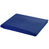 Vidaxl achtergrond zonder standaard chromakey 500x300 cm katoen blauw - afbeelding 1