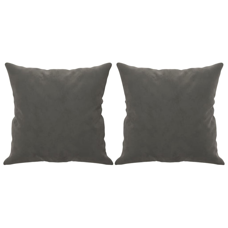 Vidaxl sierkussens 2 st 40x40 cm fluweel donkergrijs