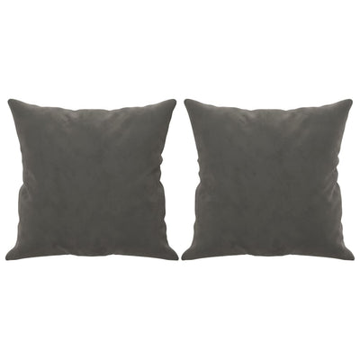 Vidaxl sierkussens 2 st 40x40 cm fluweel donkergrijs