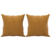Vidaxl sierkussens 2 st 40x40 cm fluweel bruin