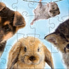 Rebo legpuzzel 2x24 stukjes - baby anima