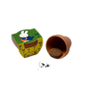 Nijntje terracota pot vergeet mij niet.
