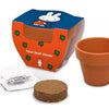 Nijntje terracota pot klavertje vier.