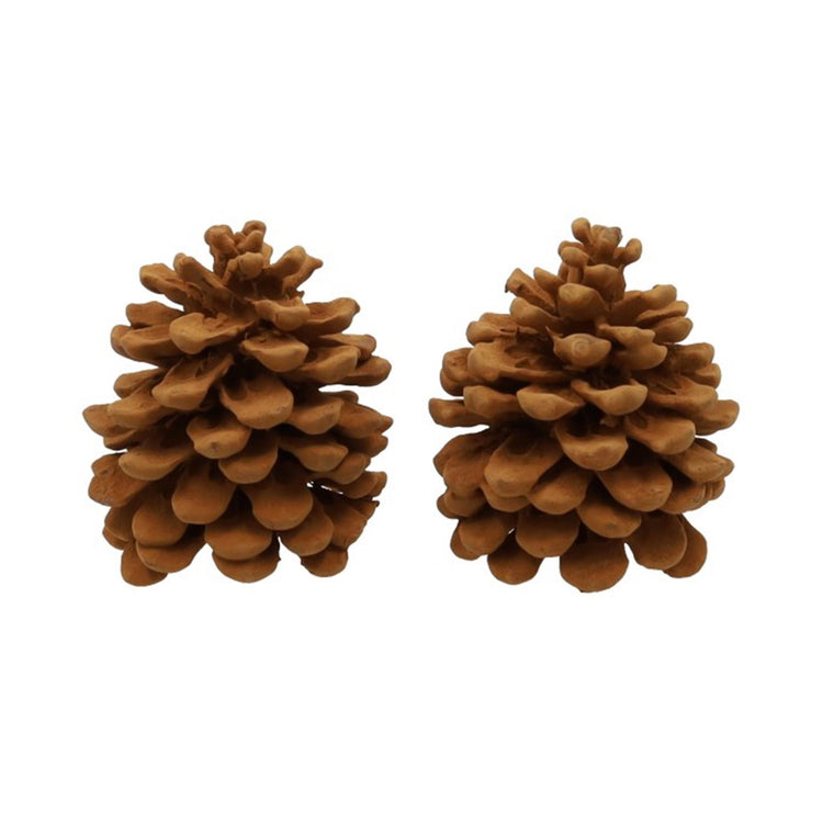 Hbx natural living geur dennenappels pinus pinea cinnamon