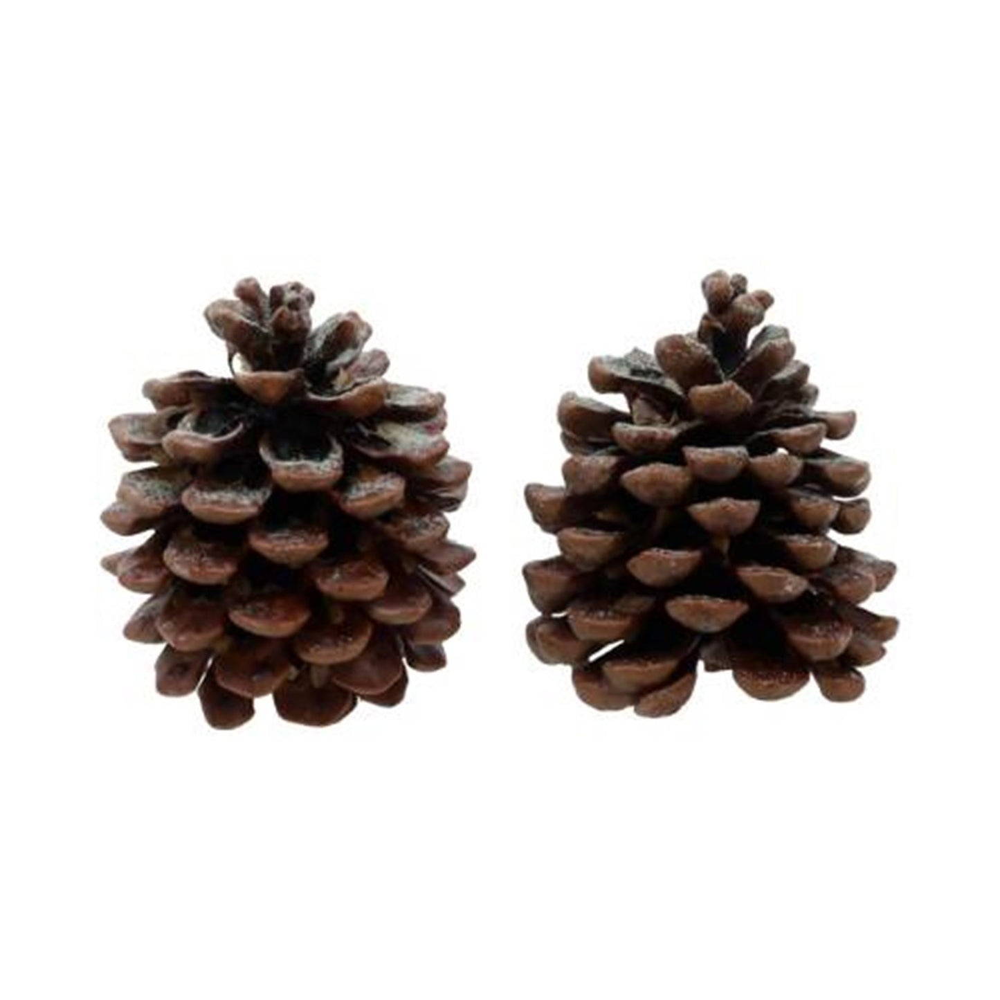 Hbx natural living geur dennenappels pine tree 2 stuks