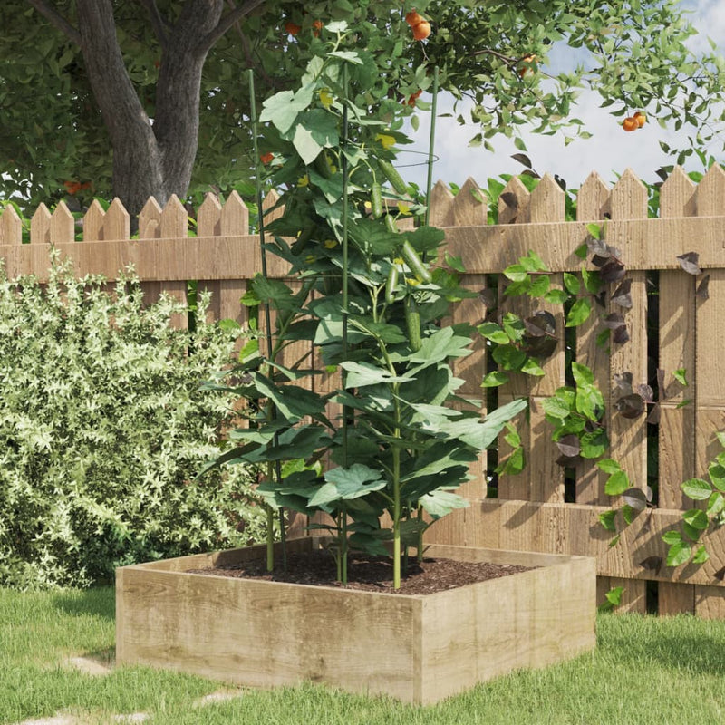 Vidaxl plantensteunen 5 st met 3 ringen 75 cm staal groen