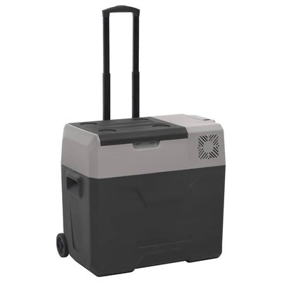 Vidaxl koelbox met wielen en handvat 40 l polypropeen zwart en grijs