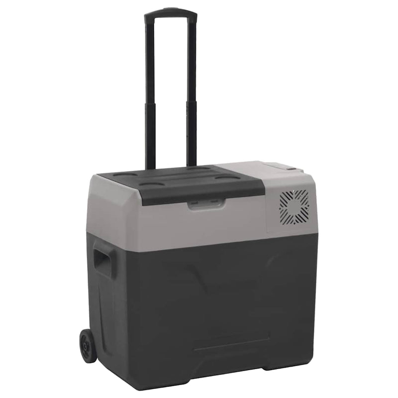 Vidaxl koelbox met wielen en handvat 40 l polypropeen zwart en grijs