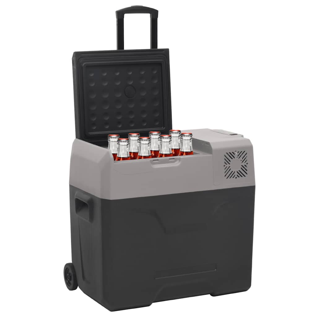 Vidaxl koelbox met wielen en handvat 40 l polypropeen zwart en grijs