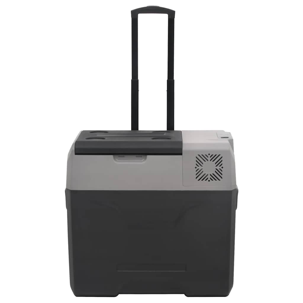 Vidaxl koelbox met wielen en handvat 40 l polypropeen zwart en grijs