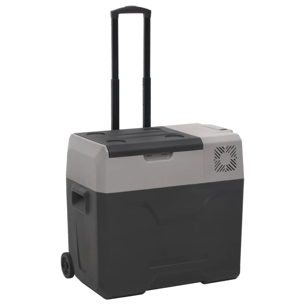 Vidaxl koelbox met wielen en handvat 50 l polypropeen zwart en grijs