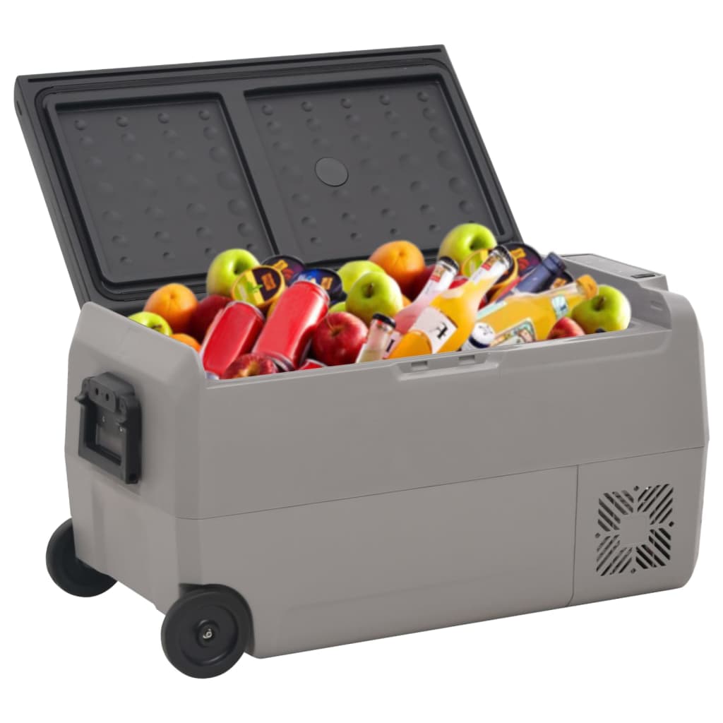 Vidaxl koelbox met wielen en handvat 60 l polypropeen zwart en grijs