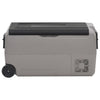 Vidaxl koelbox met wielen en handvat 60 l polypropeen zwart en grijs