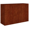 Vidaxl plantenbak verhoogd 120x40x80 cm cortenstaal