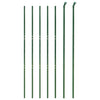 Vidaxl draadgaashek 1,6x10 m gegalvaniseerd staal groen
