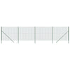 Vidaxl draadgaashek 2x10 m gegalvaniseerd staal groen